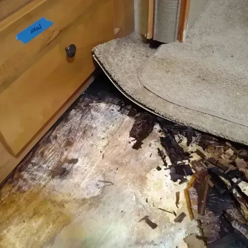 Wood Floor Water Damage in Duval County, FL